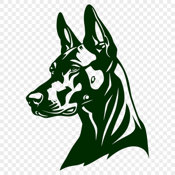 A detailed illustration of a Doberman Pinscher's head, created as a vector graphic.