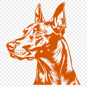 A vector illustration of a Doberman Pinscher's head with detailed facial features and realistic texture.
