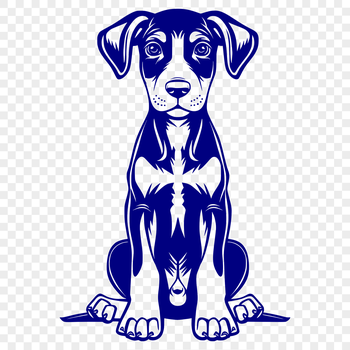 A vector illustration of a sitting Doberman Pinscher dog in full body view.