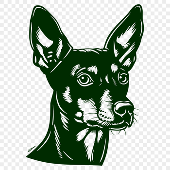 A detailed illustration of a Doberman Pinscher's head, suitable for clipping out or editing.