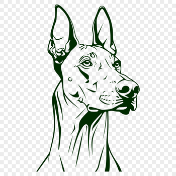 An SVG image of a Doberman Pinscher breed dog, ideal for clipping or cutting with a Cricut machine.