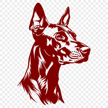 A high-quality SVG illustration of a Doberman Pinscher's head, suitable for vector design projects.