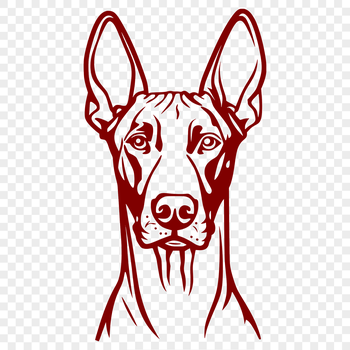 A high-resolution vector illustration of a Doberman Pinscher's head.
