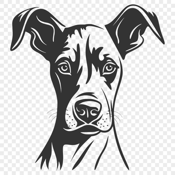 A detailed vector illustration of a Doberman Pinscher's head, suitable for graphic design and printing.