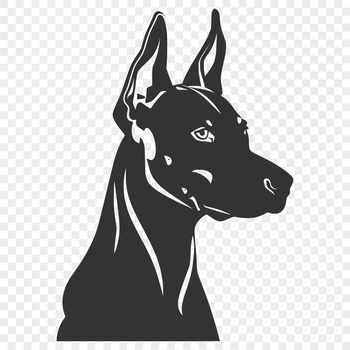 A high-quality vector illustration of a Doberman Pinscher dog's head with detailed features.