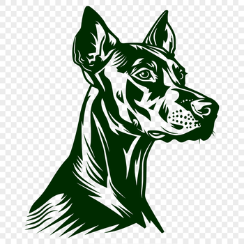 A breed standard representation of a Doberman Pinscher's head, ideal for clipping out or using in vector designs.