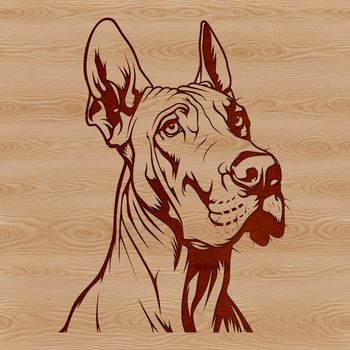 Large breed dog with distinctive head and features.