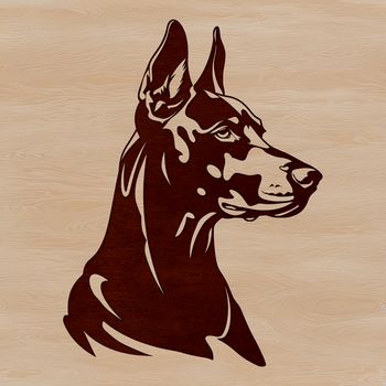 A high-quality vector illustration of a Doberman Pinscher's head, suitable for digital design projects.