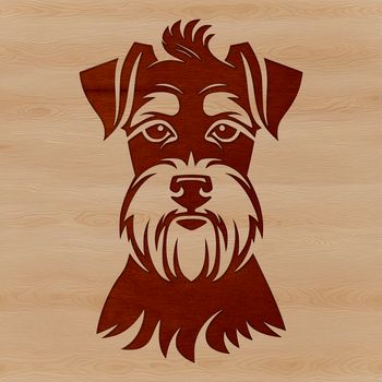 Vector image of a small-sized Schnauzer with a prominent head and expressive eyes.