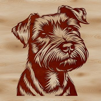 An illustration of a small to medium-sized dog with a distinctive beard and eyebrows.