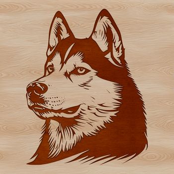 A vector illustration of a husky dog's head.