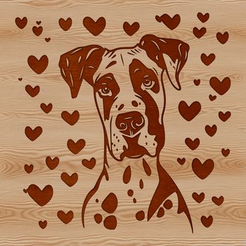A large breed dog with a gentle head and a loving expression.