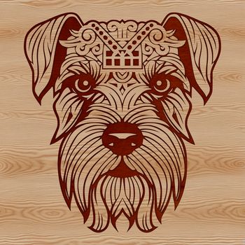 Close-up illustration of a small-sized dog breed, known as a Miniature Schnauzer.