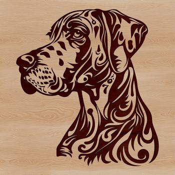 A realistic illustration of a large dog breed's head, featuring a Great Dane's distinctive appearance.