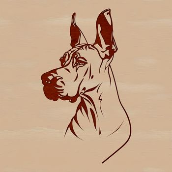 A vector graphic representation of a Great Dane, a popular animal pet known for its size.