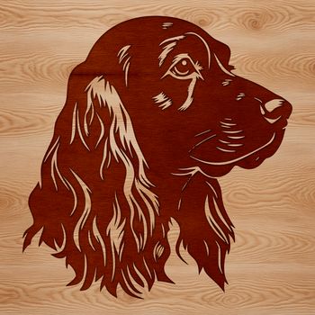 An SVG vector art image featuring the facial features of a Cocker Spaniel dog breed.