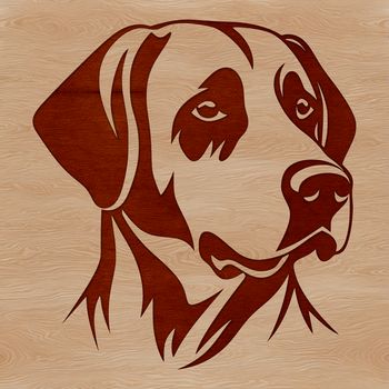 A close-up illustration of a friendly Labrador Retriever's head with distinctive features.