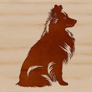 Illustrated portrait of a seated Shetland sheepdog breed dog.