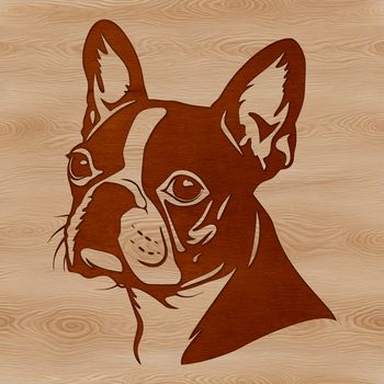 Detailed head design of a Boston Terrier, suitable for digital cutting and crafting