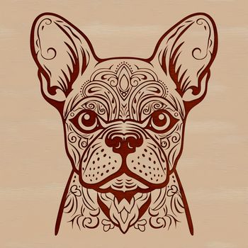 A detailed illustration of a French Bulldog's head.