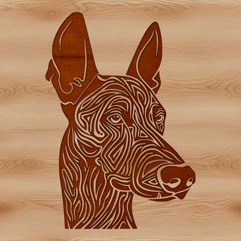 A detailed illustration of a Doberman Pinscher's head featuring distinctive markings.