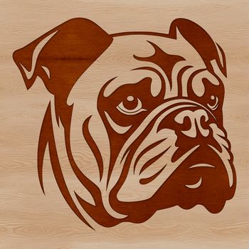 A stylized illustration of a Bulldog's head, suitable for use in graphic design.