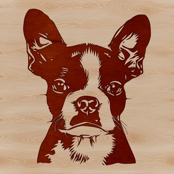 An SVG vector image of a Boston Terrier breed dog profile, suitable for various applications.
