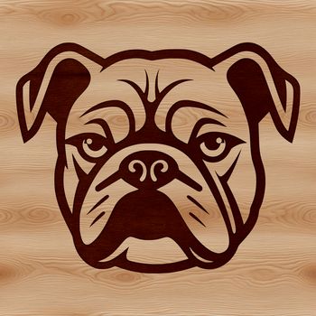 Vector illustration of a Bulldog's head, suitable for various design applications.