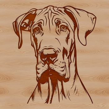 Illustration of a large breed dog's head with details suitable for cutting machine designs.
