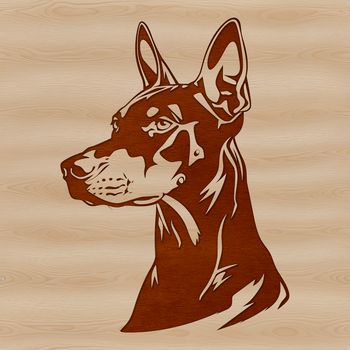 High-quality SVG image of a Doberman Pinscher, ideal for use in graphic design software like Procreate or Illustrator.
