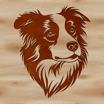 A high-quality illustration of the head of an Australian Shepherd dog breed, suitable for digital design projects.
