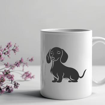A small to medium-sized dog with a long body and short legs standing on its hind legs.