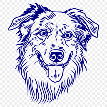 Australian Shepherd dog head illustration in vector format.
