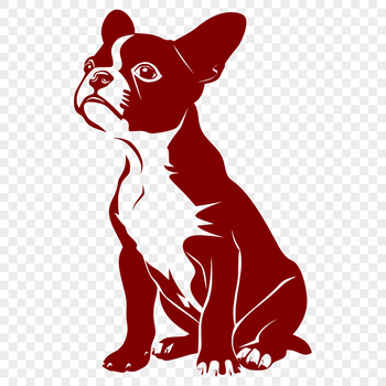A full-body illustration of a sitting Boston Terrier dog.