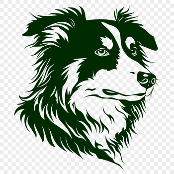 A vector illustration of a loyal Australian Shepherd dog with a distinctive head shape.