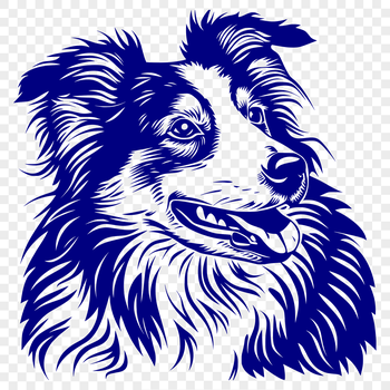 A detailed vector illustration of a Shetland sheepdog's head from various angles.