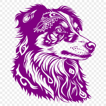 An illustration of a dog with distinctive markings and colors, representing the breed.