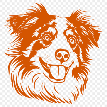 Australian Shepherd dog breed illustration in vector format.