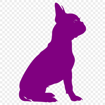 A full-body illustration of a sitting Boston Terrier dog, suitable for vector design and digital cutting.