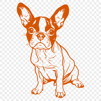 A vector graphic representation of a seated Boston Terrier animal in a compact format suitable for digital use.