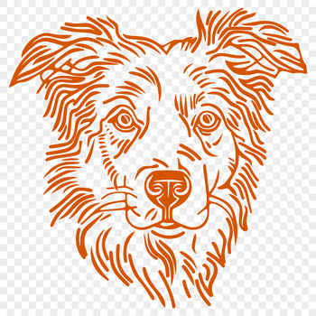 A depiction of a medium-sized dog with a distinctive coat pattern, typical of the Australian Shepherd breed.