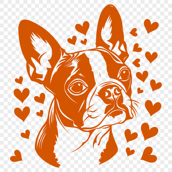 A stylized illustration of a Boston Terrier's head with love hearts surrounding it.