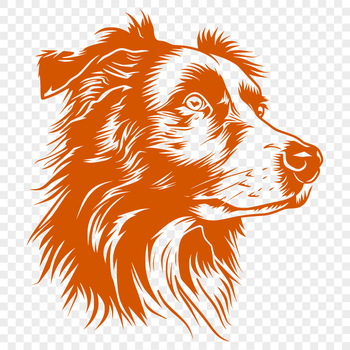 Illustrative representation of a Australian Shepherd dog breed with detailed head and facial features.