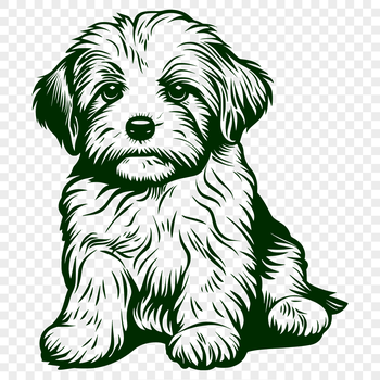 Close-up illustration of a Havanese dog sitting, suitable for SVG, PNG, PDF, or DXF file formats.