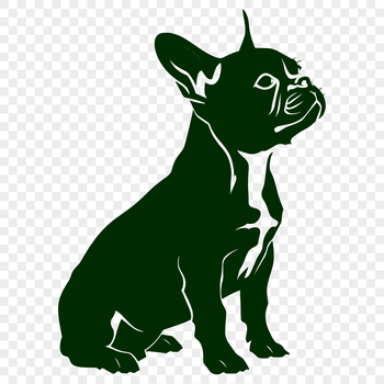 A full-body illustration of a sitting Boston Terrier dog with detailed features.