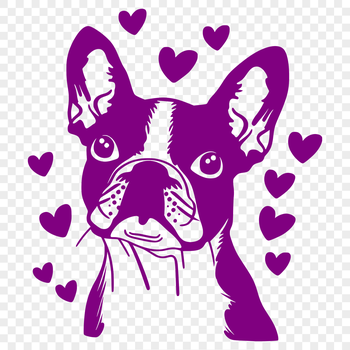 Close-up illustration of a Boston Terrier's head with love hearts surrounding its face.