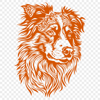 A detailed illustration of a domesticated Australian Shepherd dog's head.