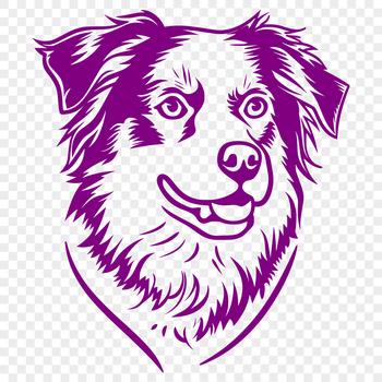 Illustration of a medium-sized Australian Shepherd dog with a fluffy coat and erect ears.