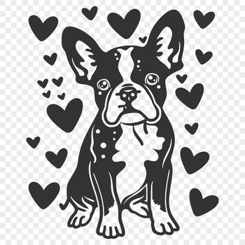 A full-body illustration of a sitting Boston Terrier with hearts surrounding its body.