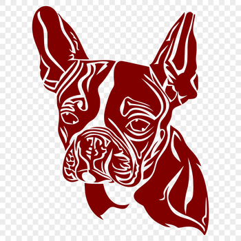 A close-up illustration of a Boston Terrier's head, suitable for use in graphic design and digital art.